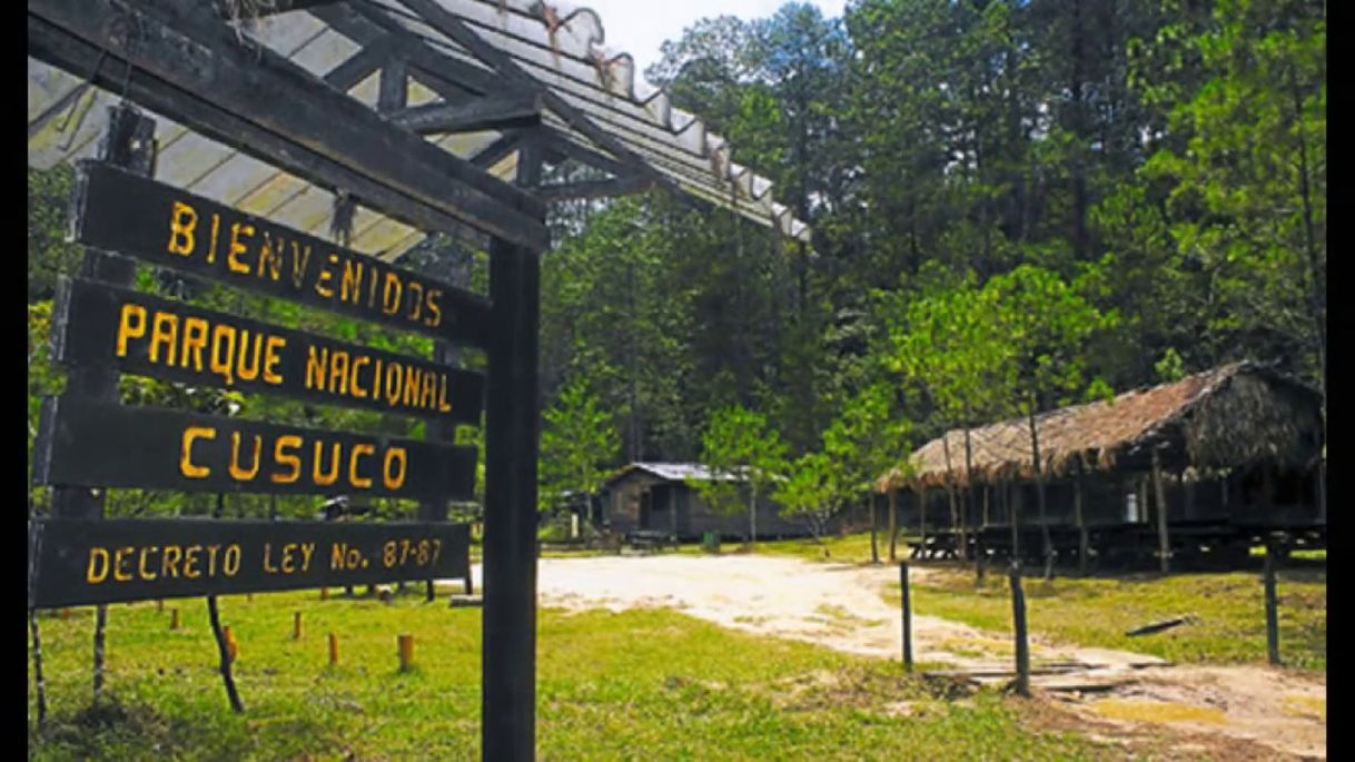 Place Cusuco National Park