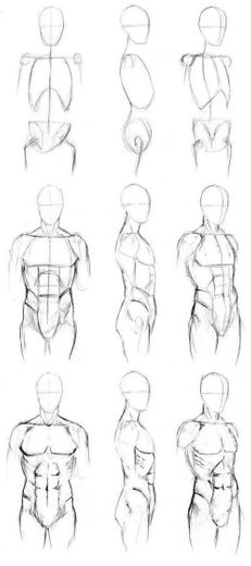 Anatomia corpo masculino