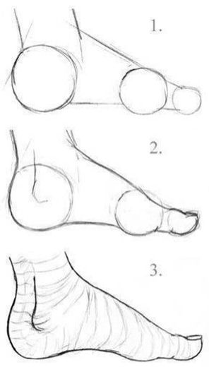 Anatomia do pé simplificada