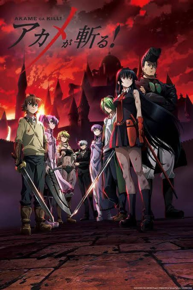 Serie Akame ga Kill! | Netflix