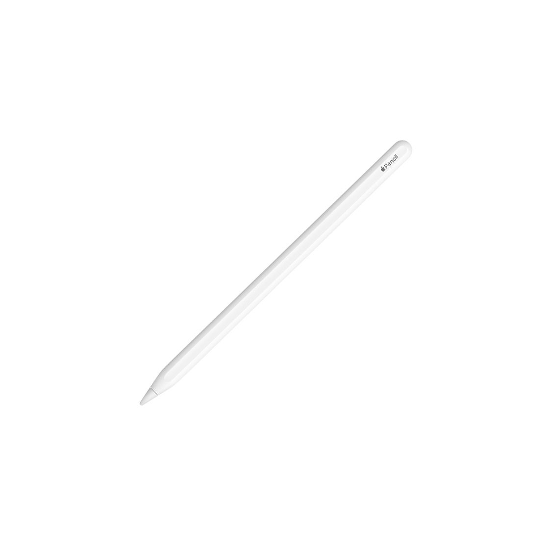 Social Apple Pencil