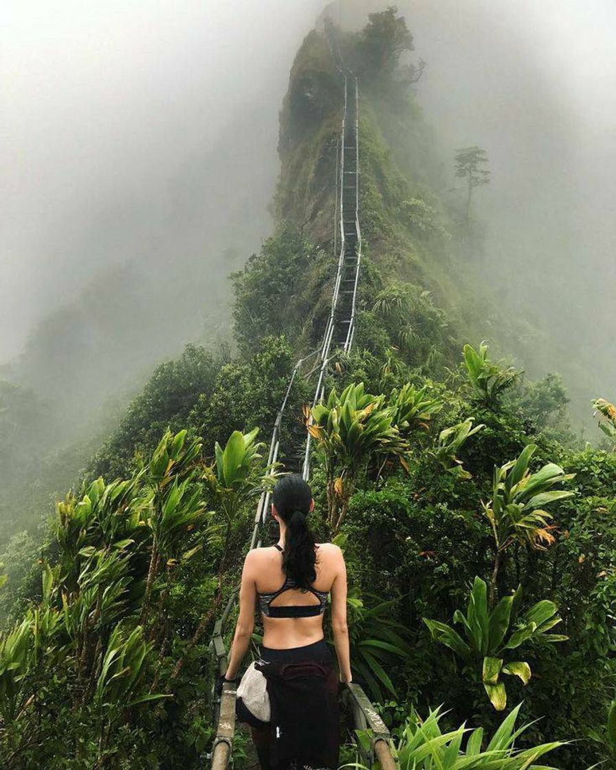 Place Hawaii