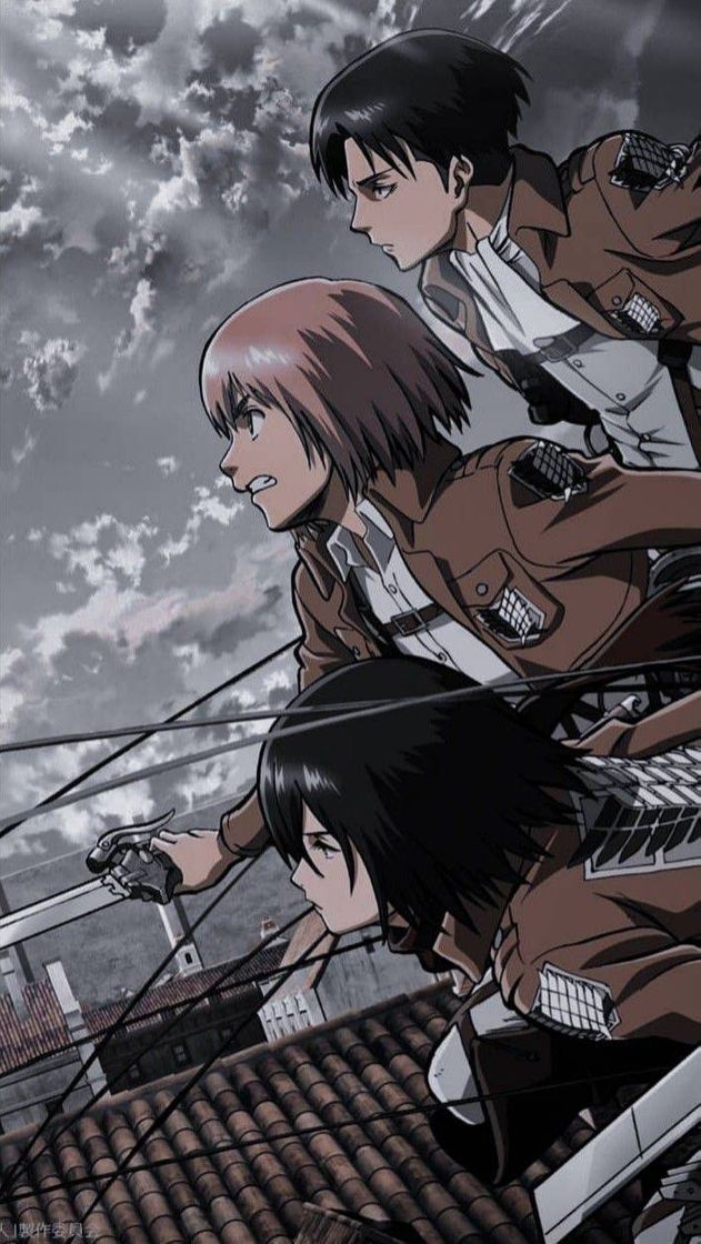 Moda mikasa armin levi