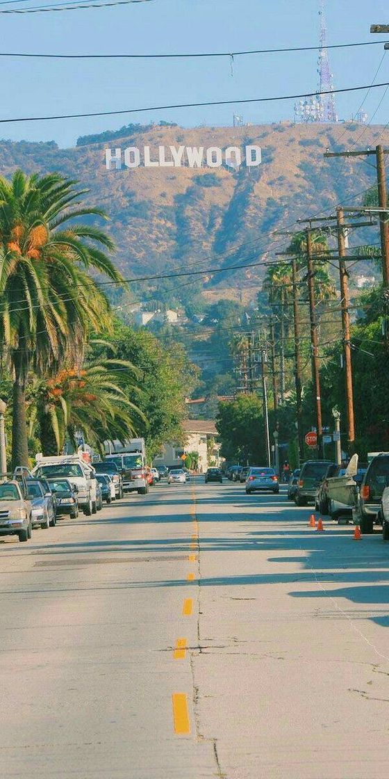 HOLLYWOOD 📽