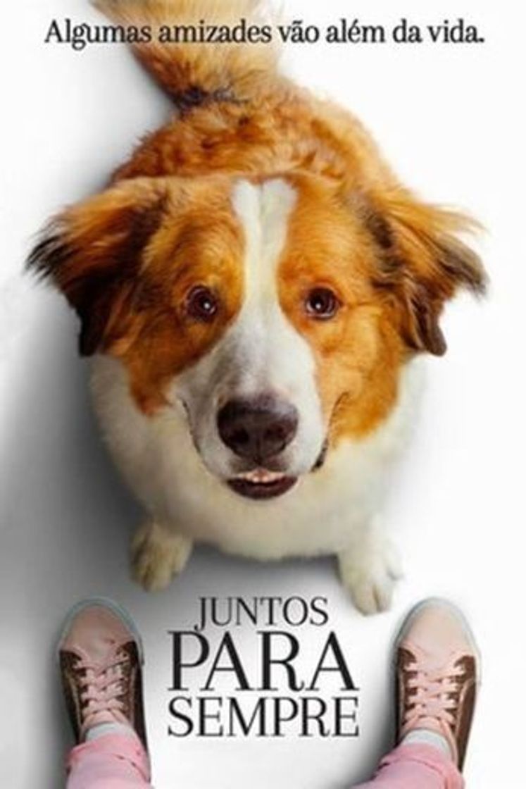 Movie Tu mejor amigo: Un nuevo viaje