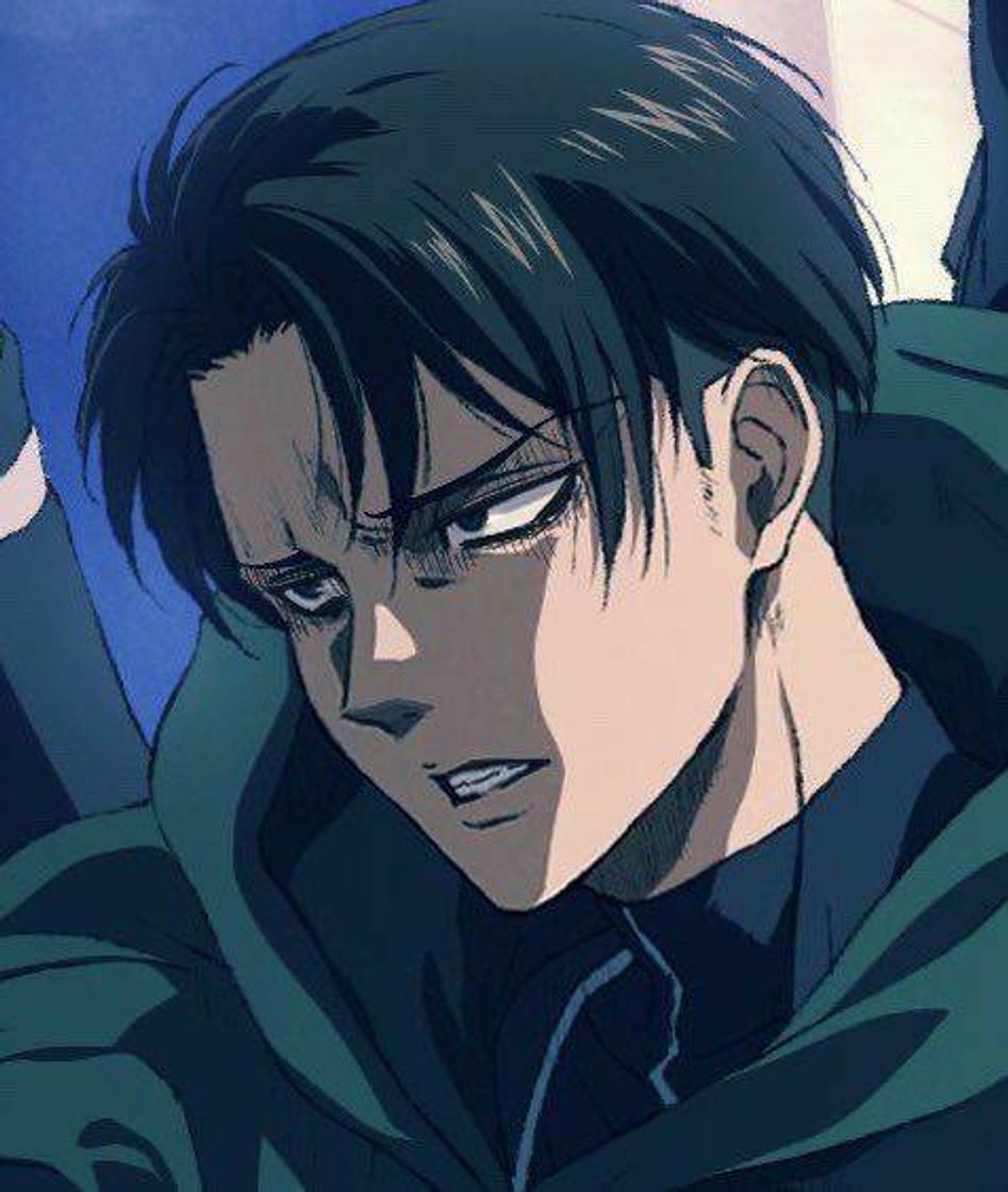 Fashion Levi Ackerman