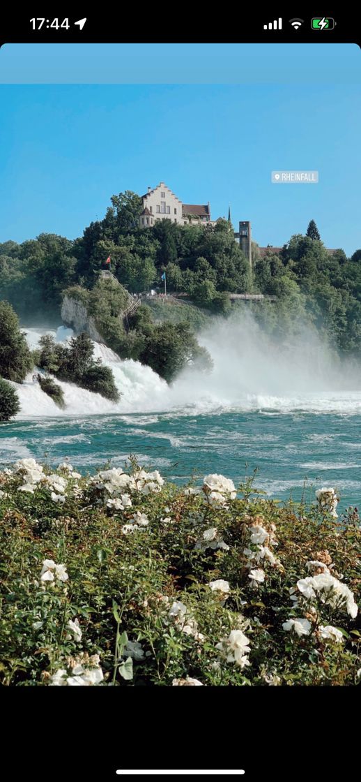 Lugar Rhine Falls