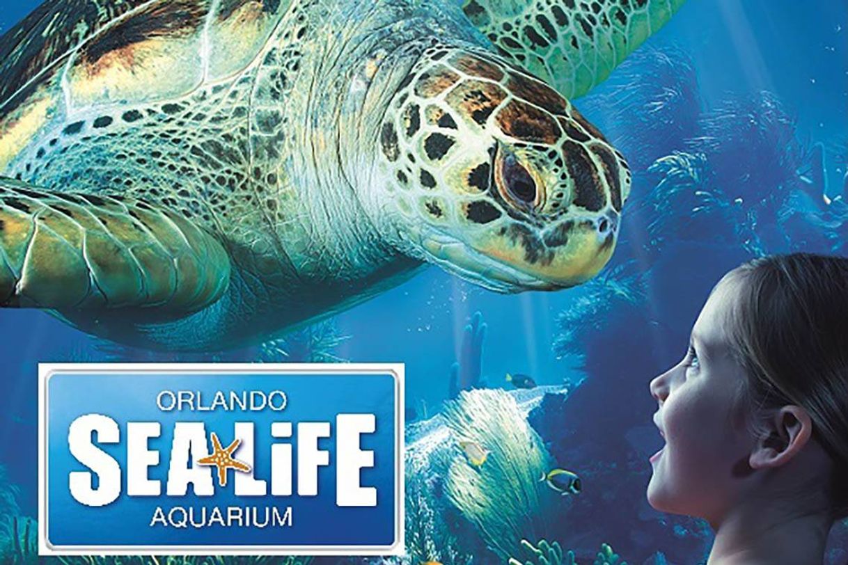 Lugar Aquário Sea Life Orlando