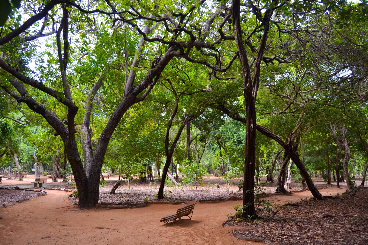 Lugar Parque das Dunas