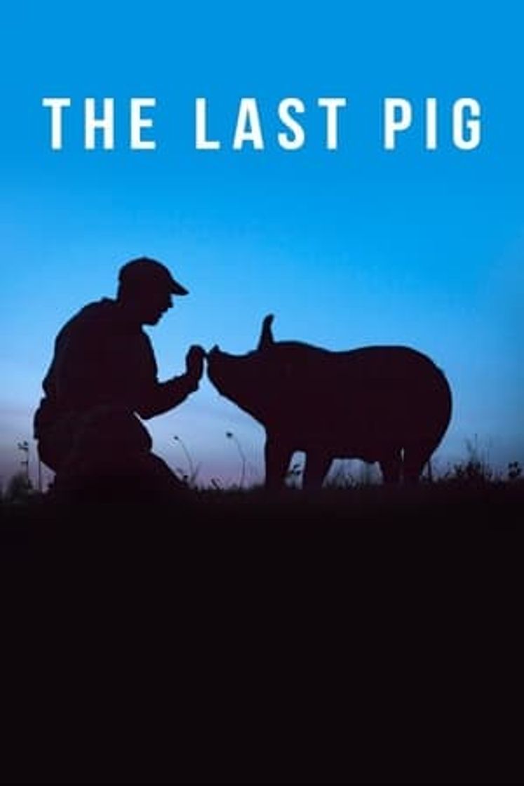 Película The Last Pig