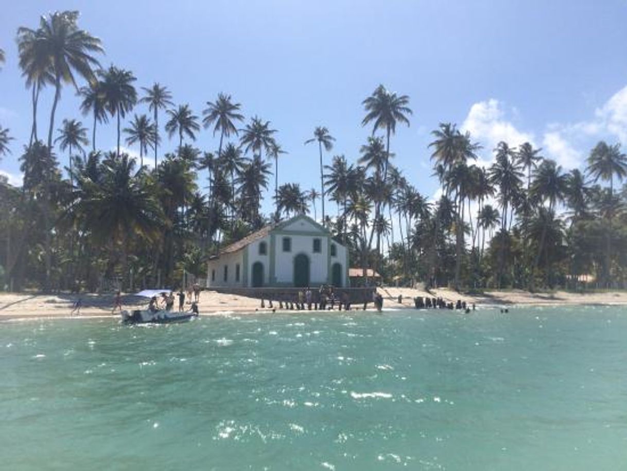 Lugar Praia dos Carneiros