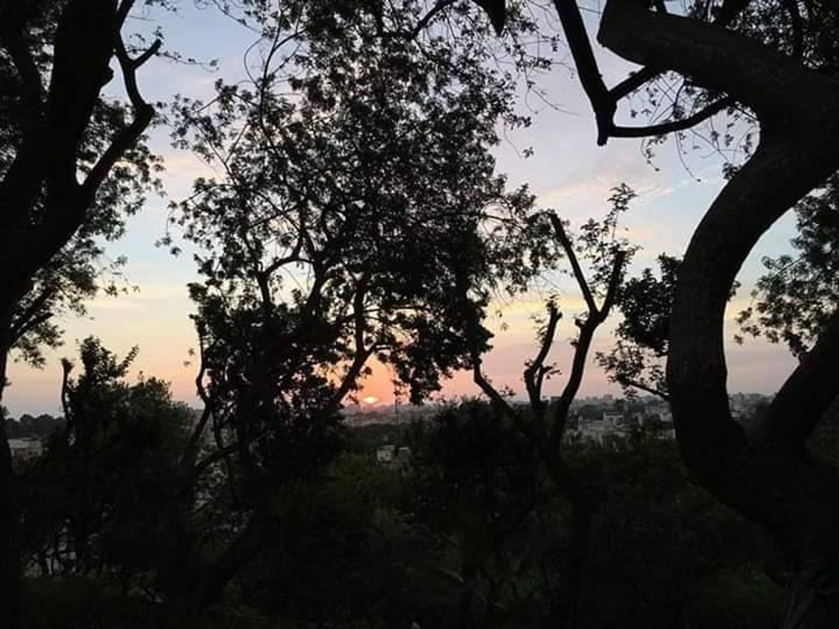 Place Loma Amarilla Ecological Park