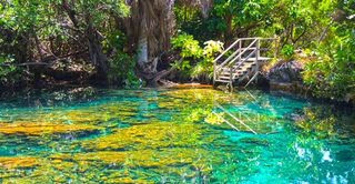 Place Indigenous Eyes Ecological Reserve