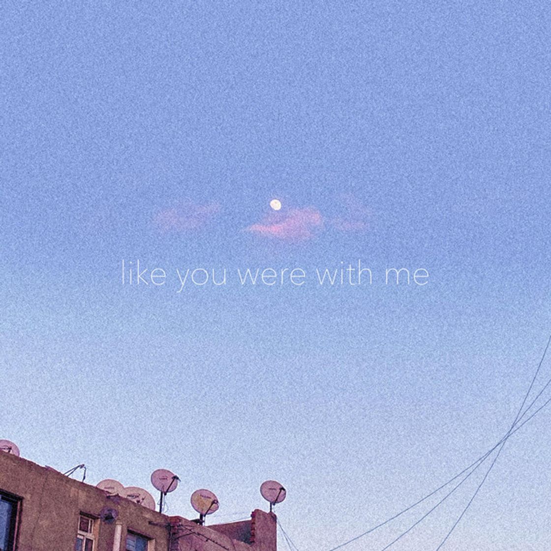 Canción Like You Were With Me