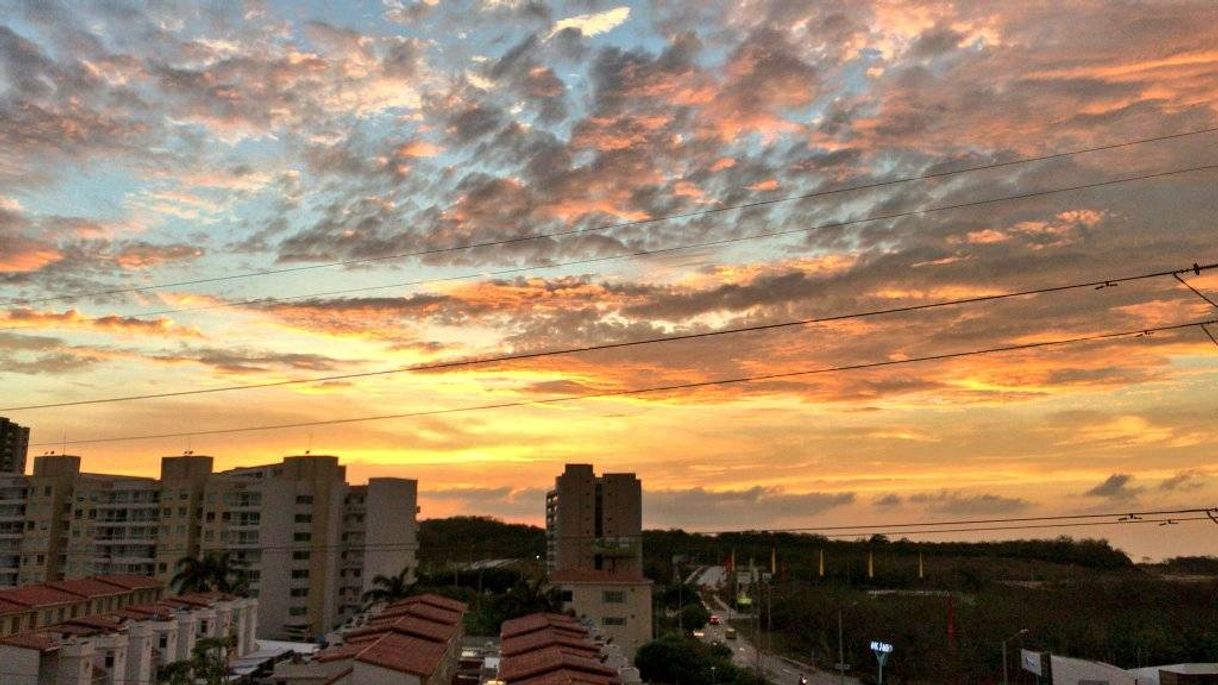 Place Barranquilla