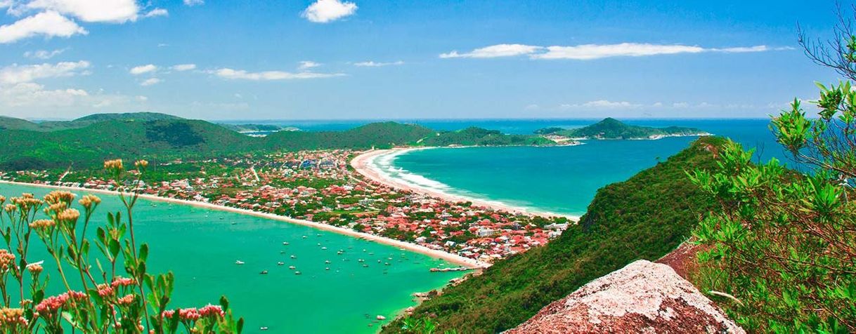 Trilha do Morro do Macaco