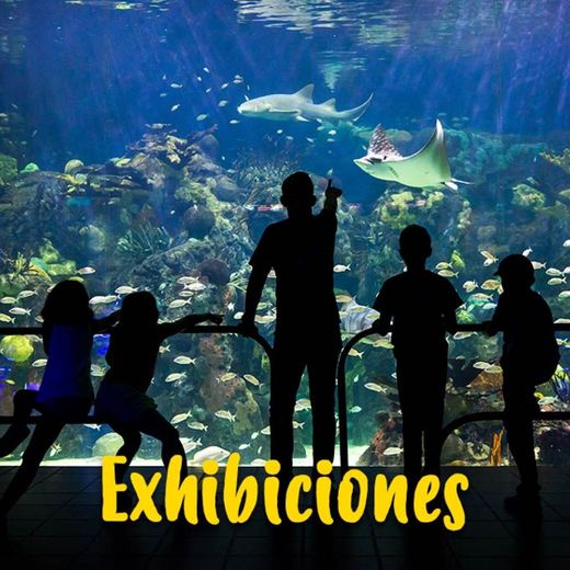 Acuario de Veracruz