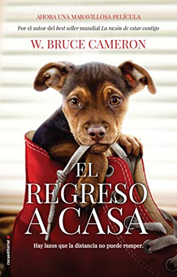 Book Razon de Estar Contigo, La. El Regreso a Casa