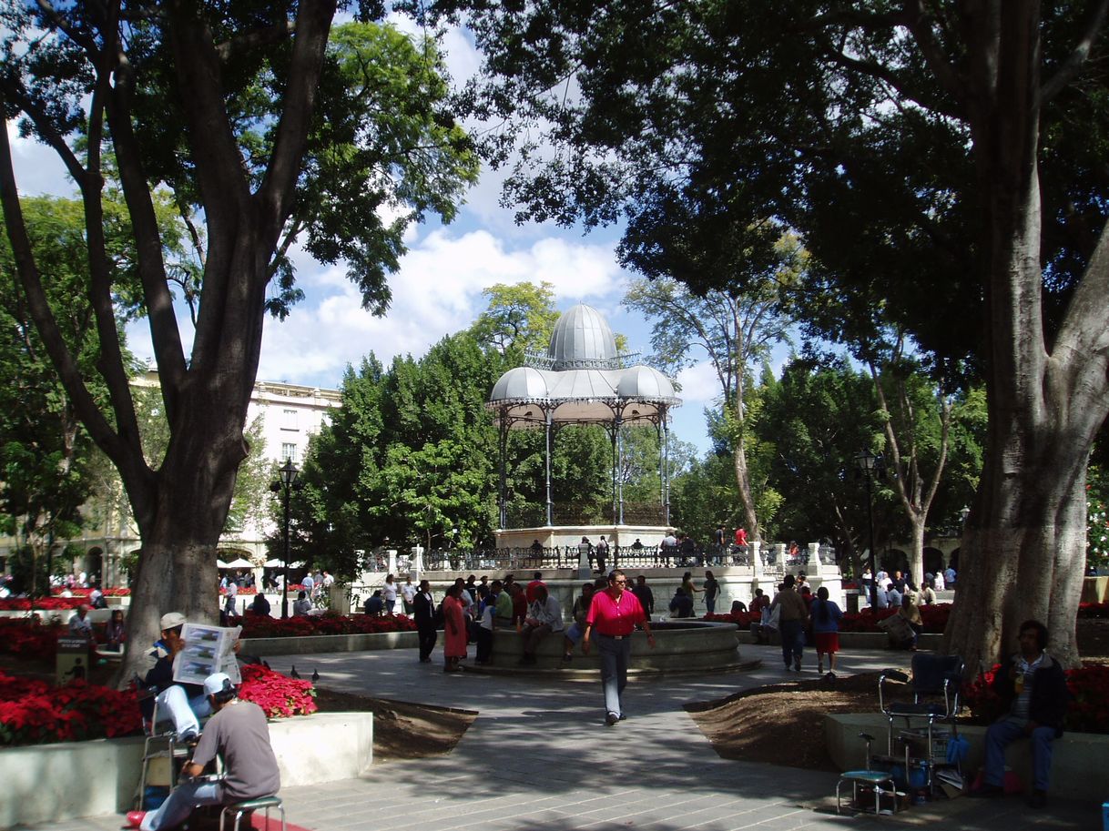 Place Zócalo Oaxaca