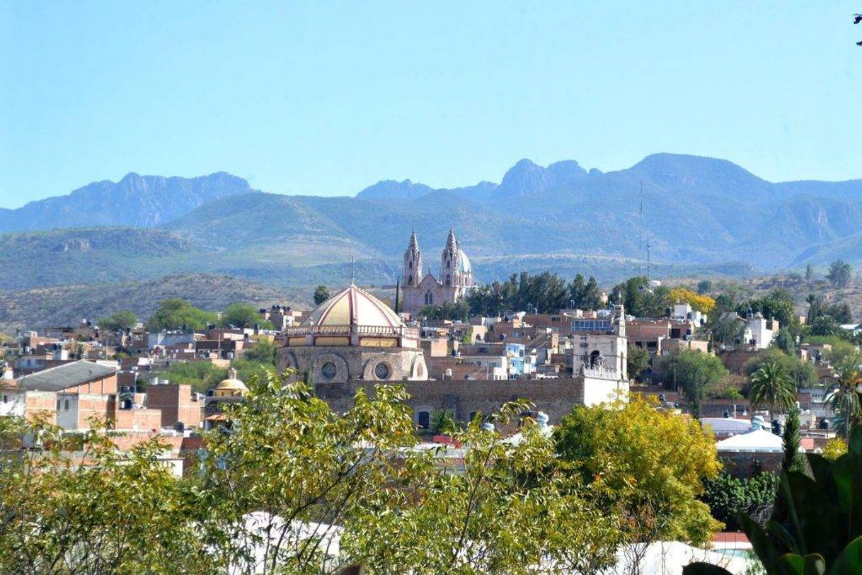 Place Calvillo