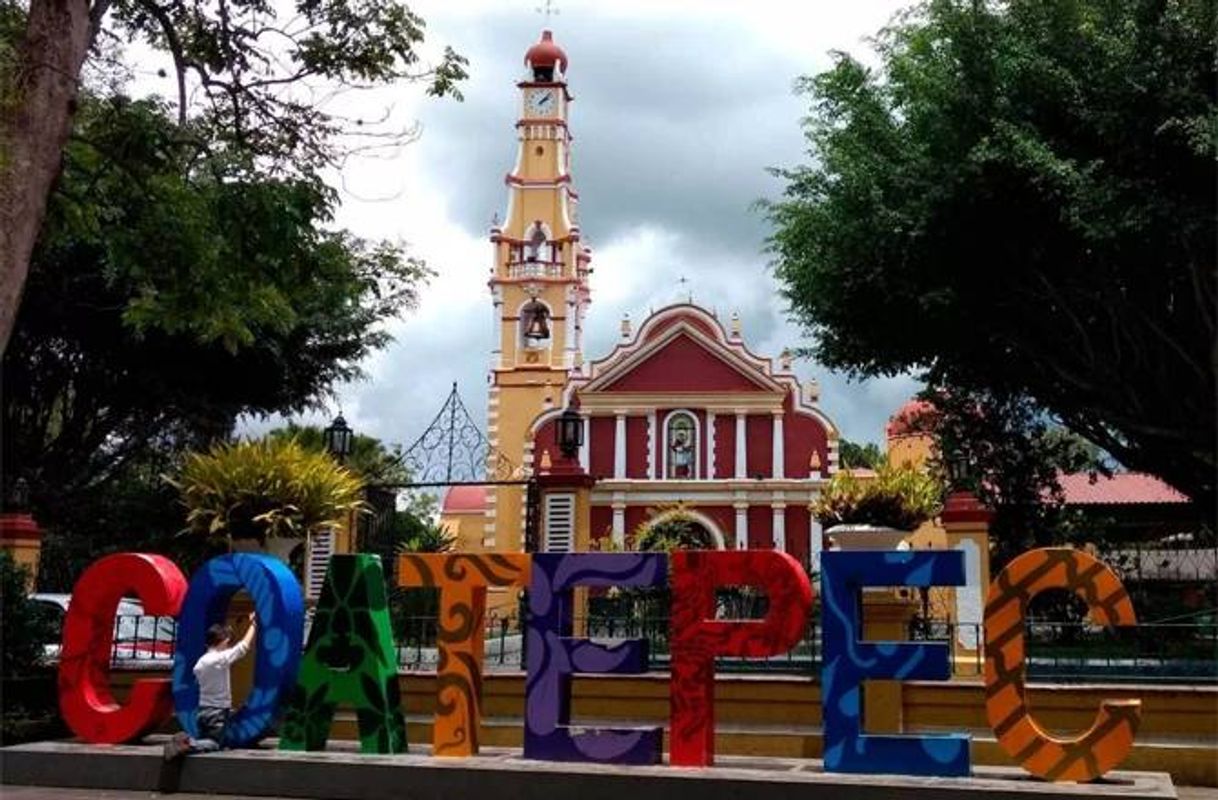 Place Coatepec