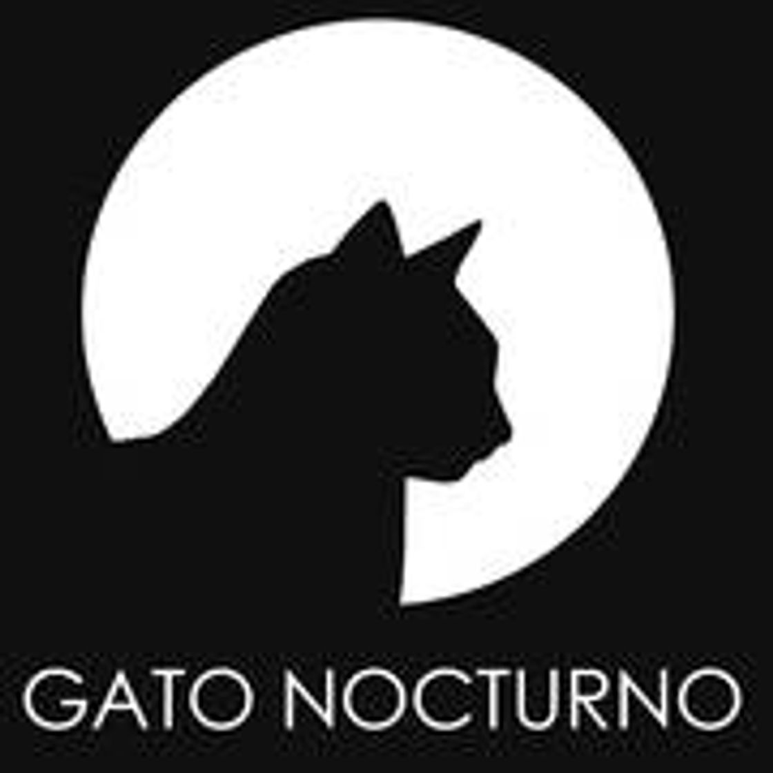 Fashion Gato Nocturno 