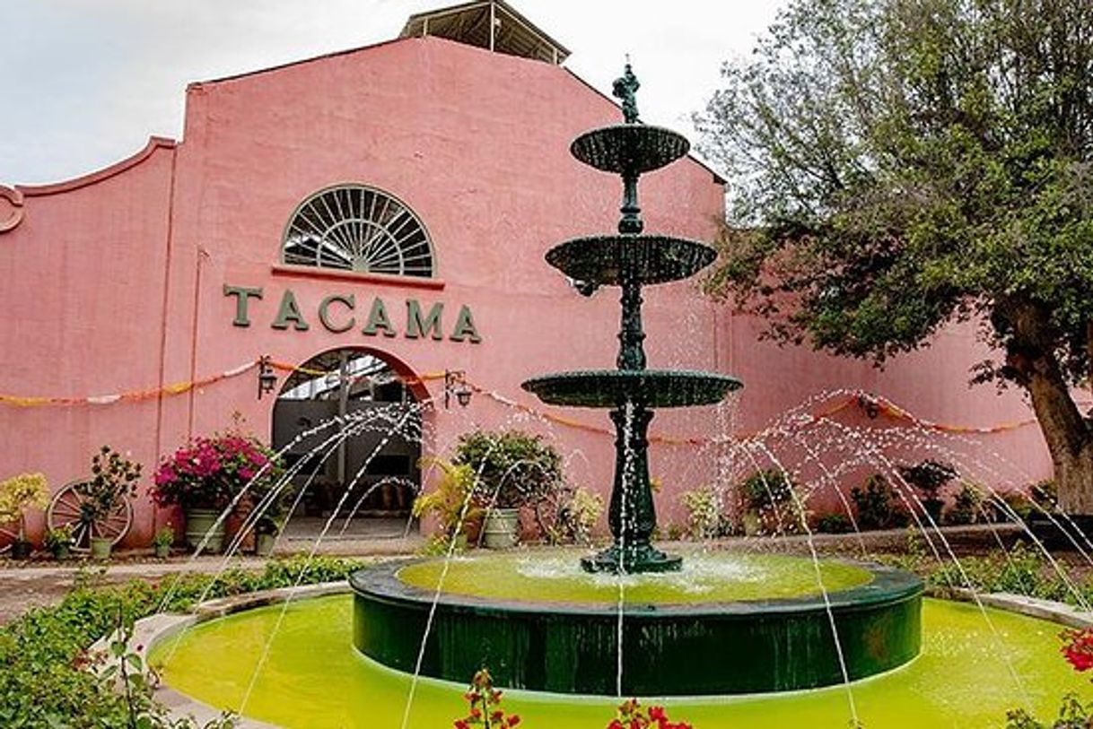 Restaurants Tacama