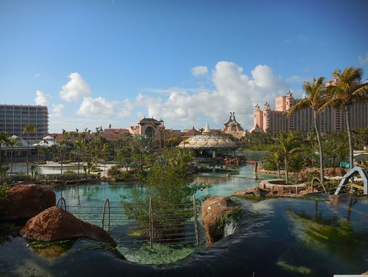 Lugar Atlantis, Beach Tower, Autograph Collection