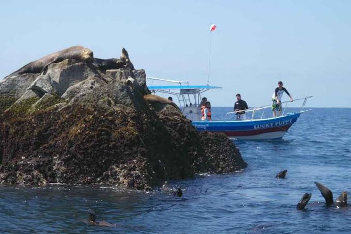 Place Isla de Lobos