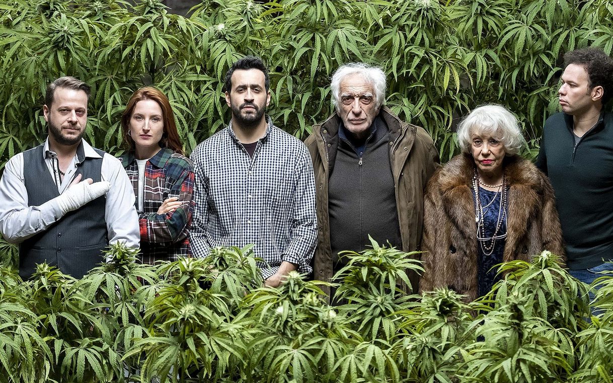 Serie Family Business