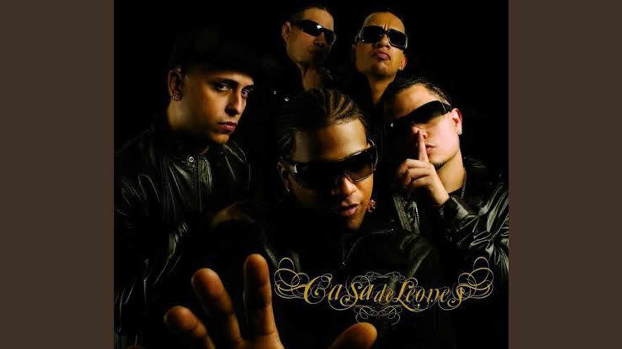 Social No Te Veo - Casa de Leones