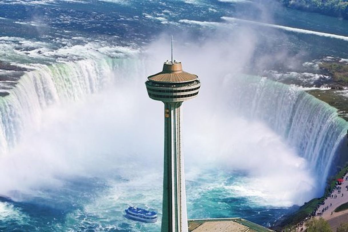 Lugar Skylon Tower