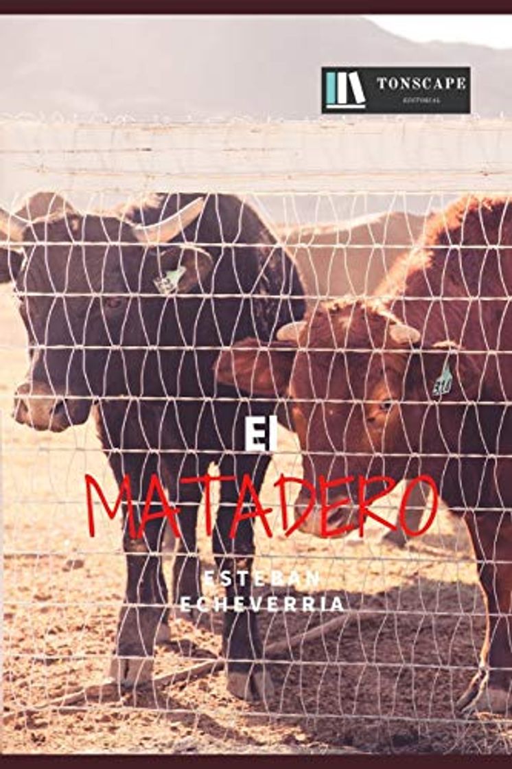 Libro EL MATADERO