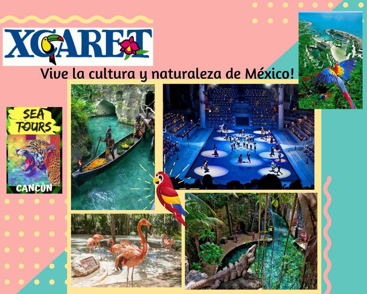 Place XCARET