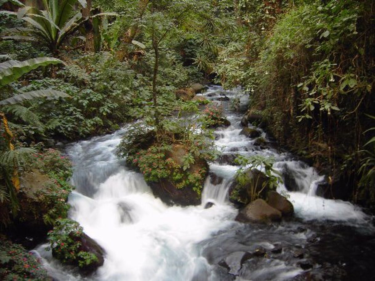 Parque Nacional Barranca del Cupatitzio