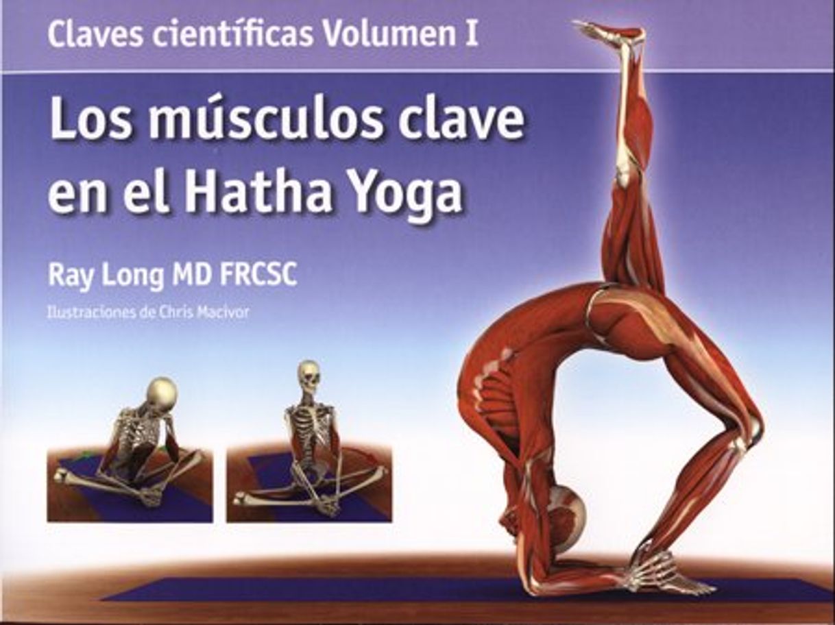 Book Los músculos clave en el hatha yoga