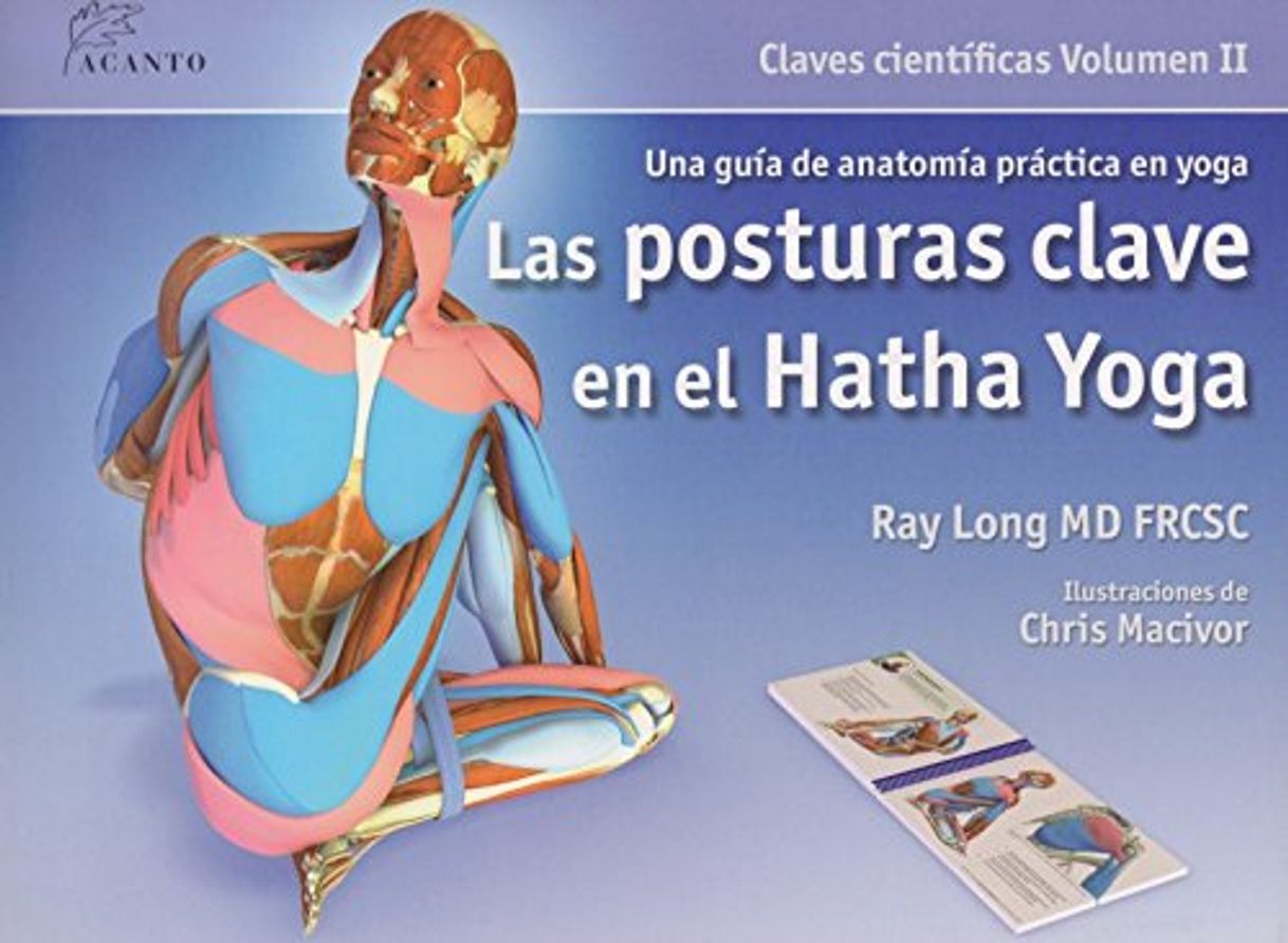 Book Las posturas clave en el hatha yoga