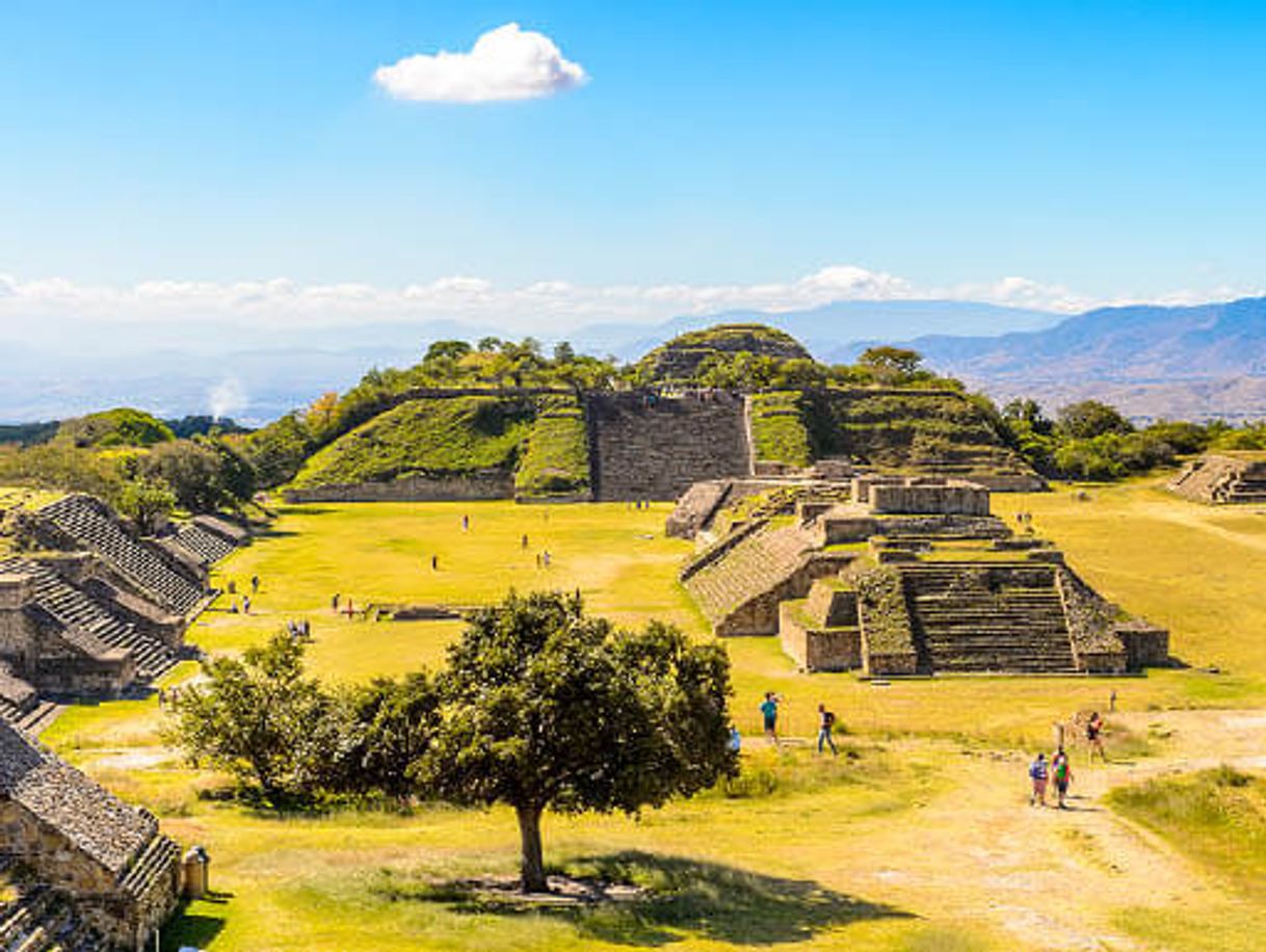 Place Monte Albán