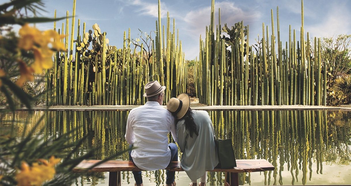 Place Jardín Etnobotánico de Oaxaca