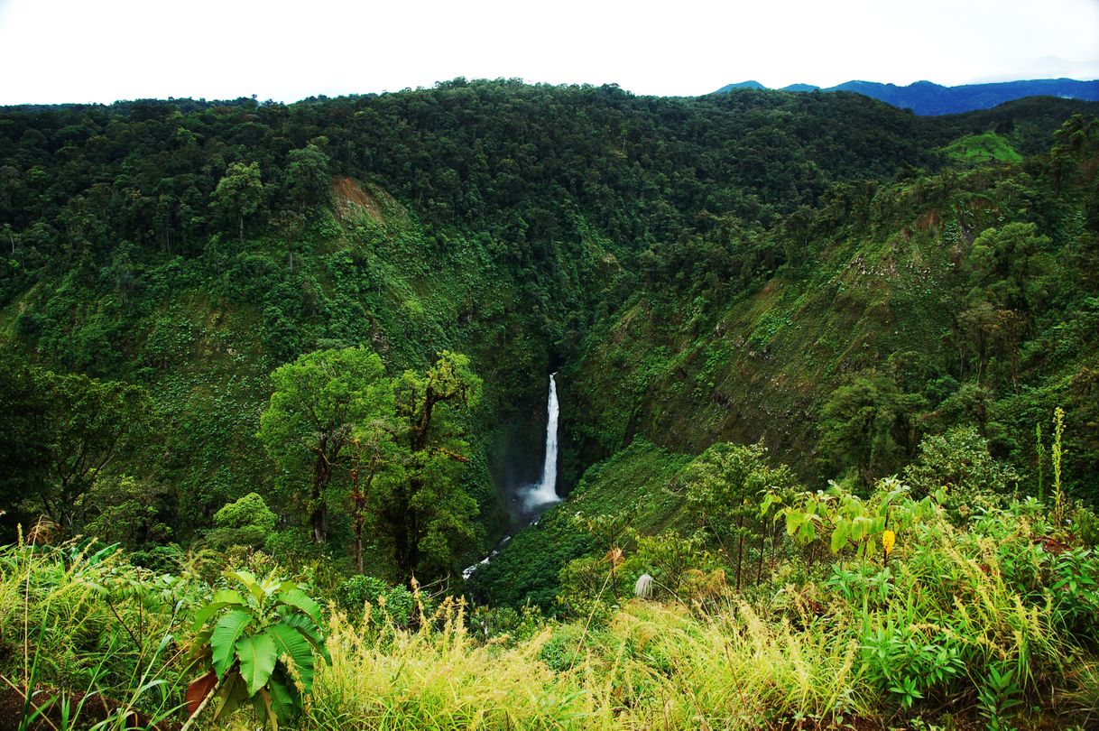 Lugar Puerto Viejo