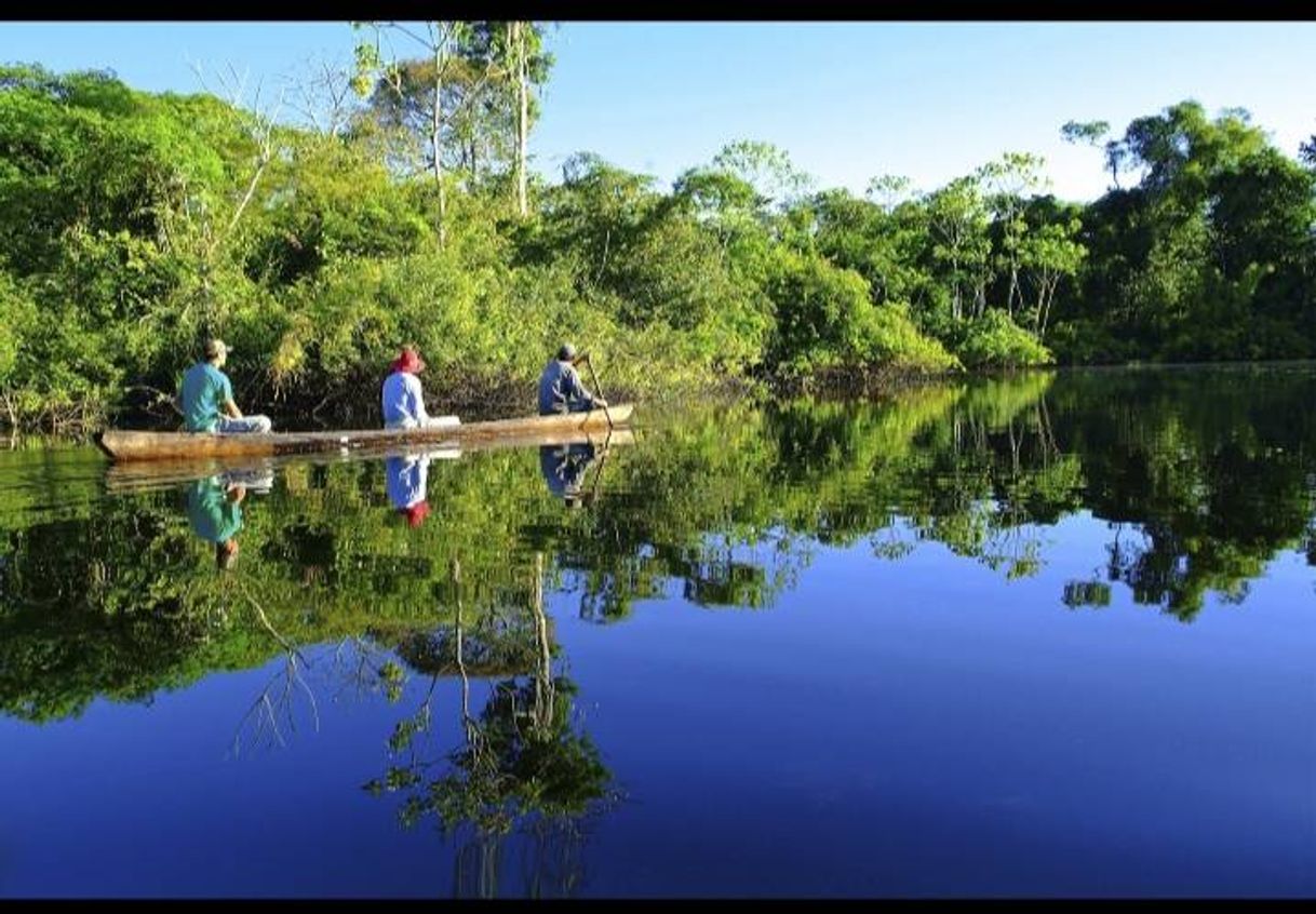 Lugar Pacaya-Samiria National Reserve