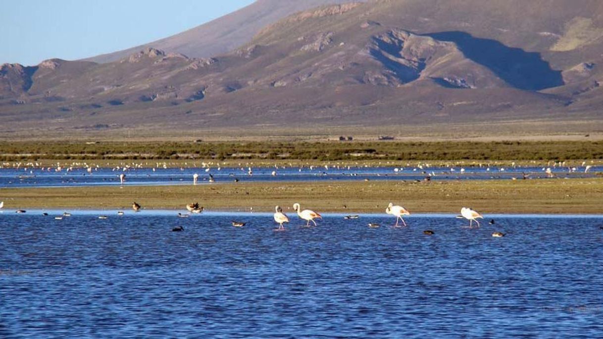 Place Monumento Natural Laguna de los Pozuelos