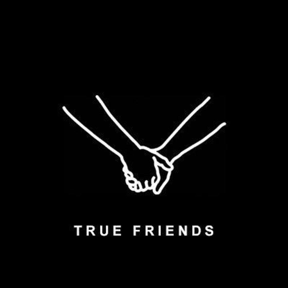 Canción True Friends