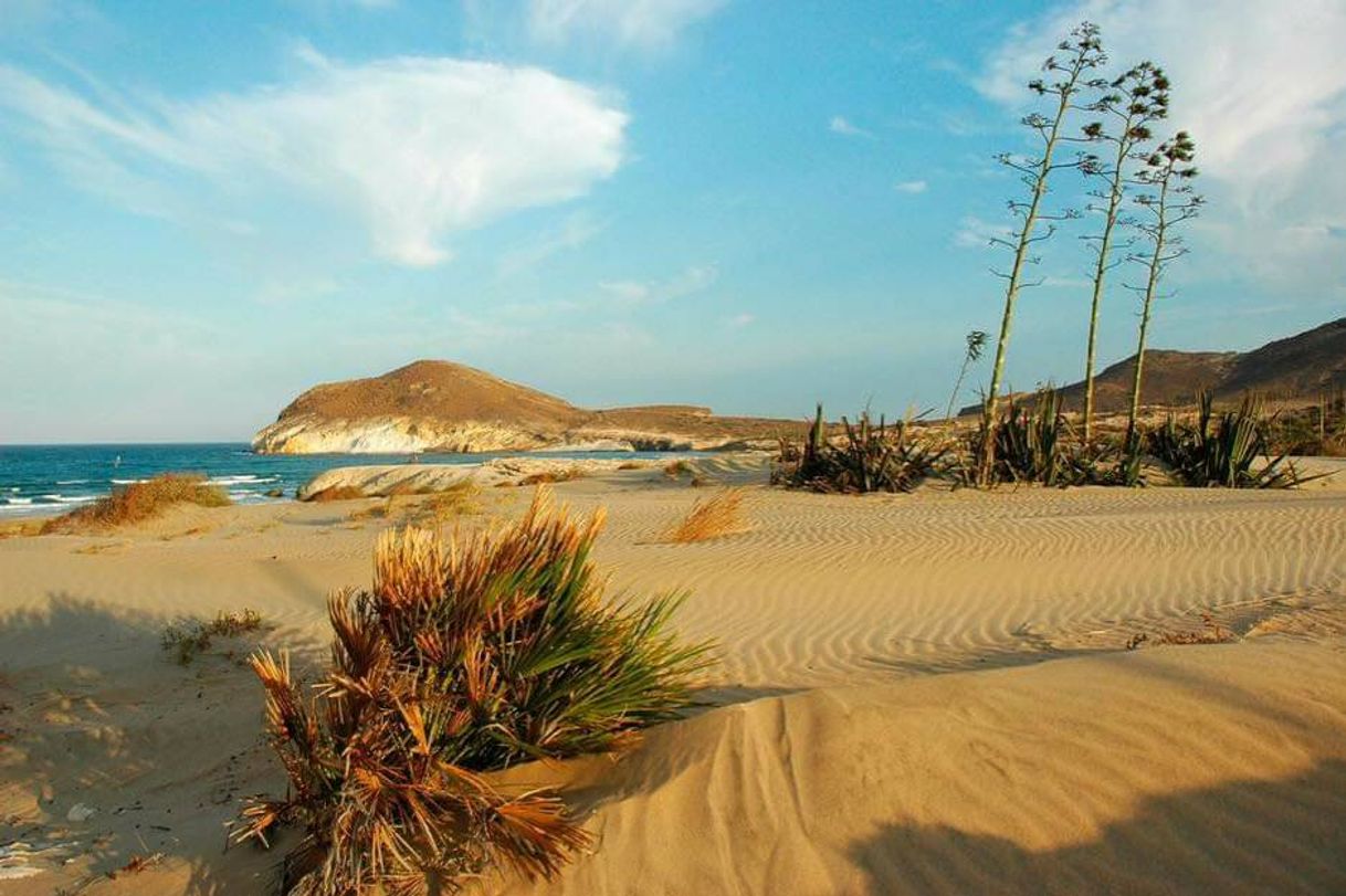 Lugar Playa de los Genoveses