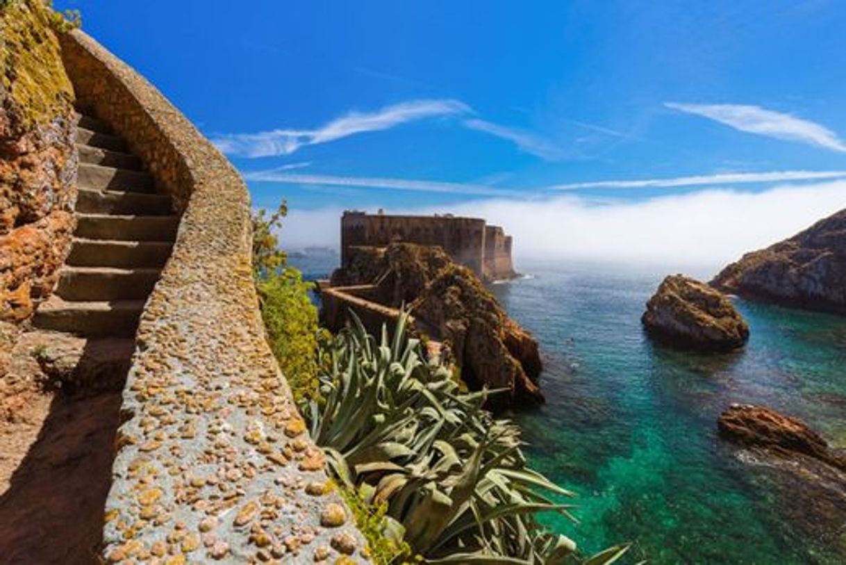 Social Islas Berlengas, el paraíso de Portugal que todavía no conoces