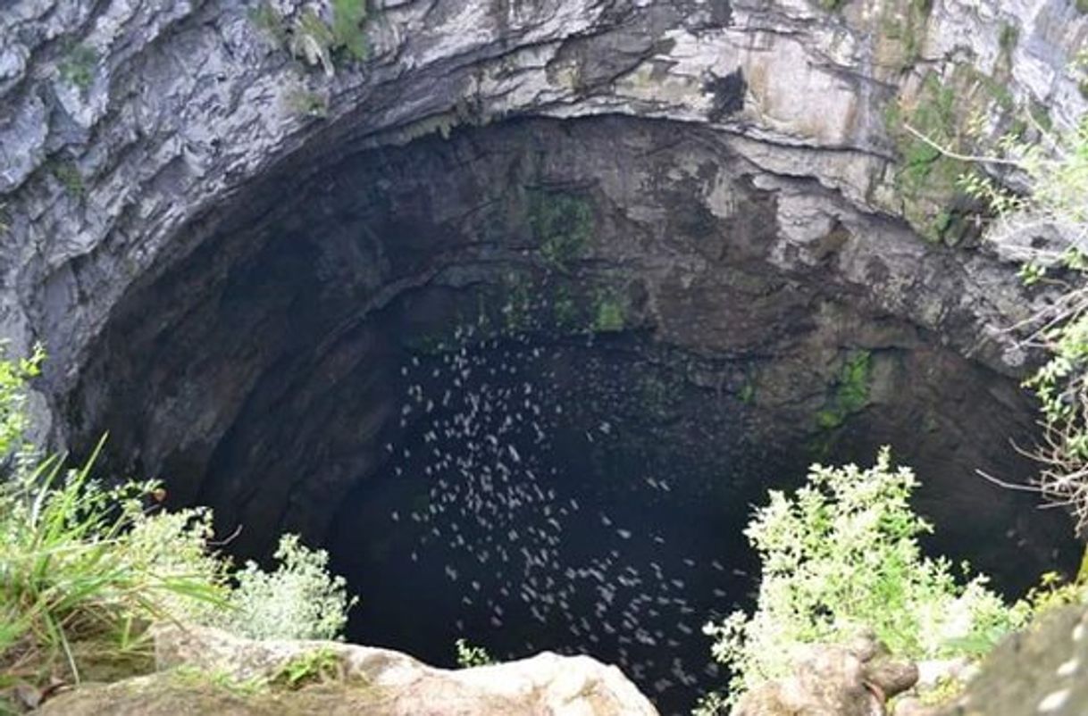 Lugares Sótano de las golondrinas ( Aquismon, SLP )