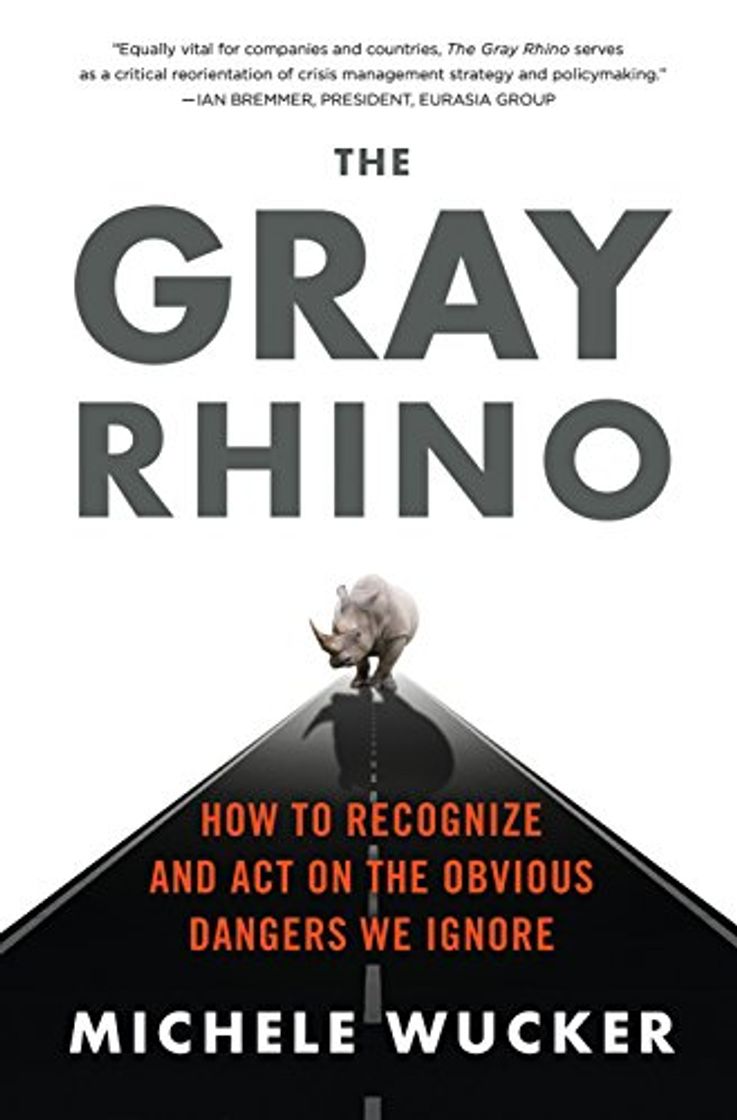 Libros The Gray Rhino: How to Recognize and Act on the Obvious Dangers