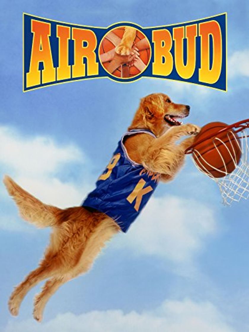 Producto Air Bud