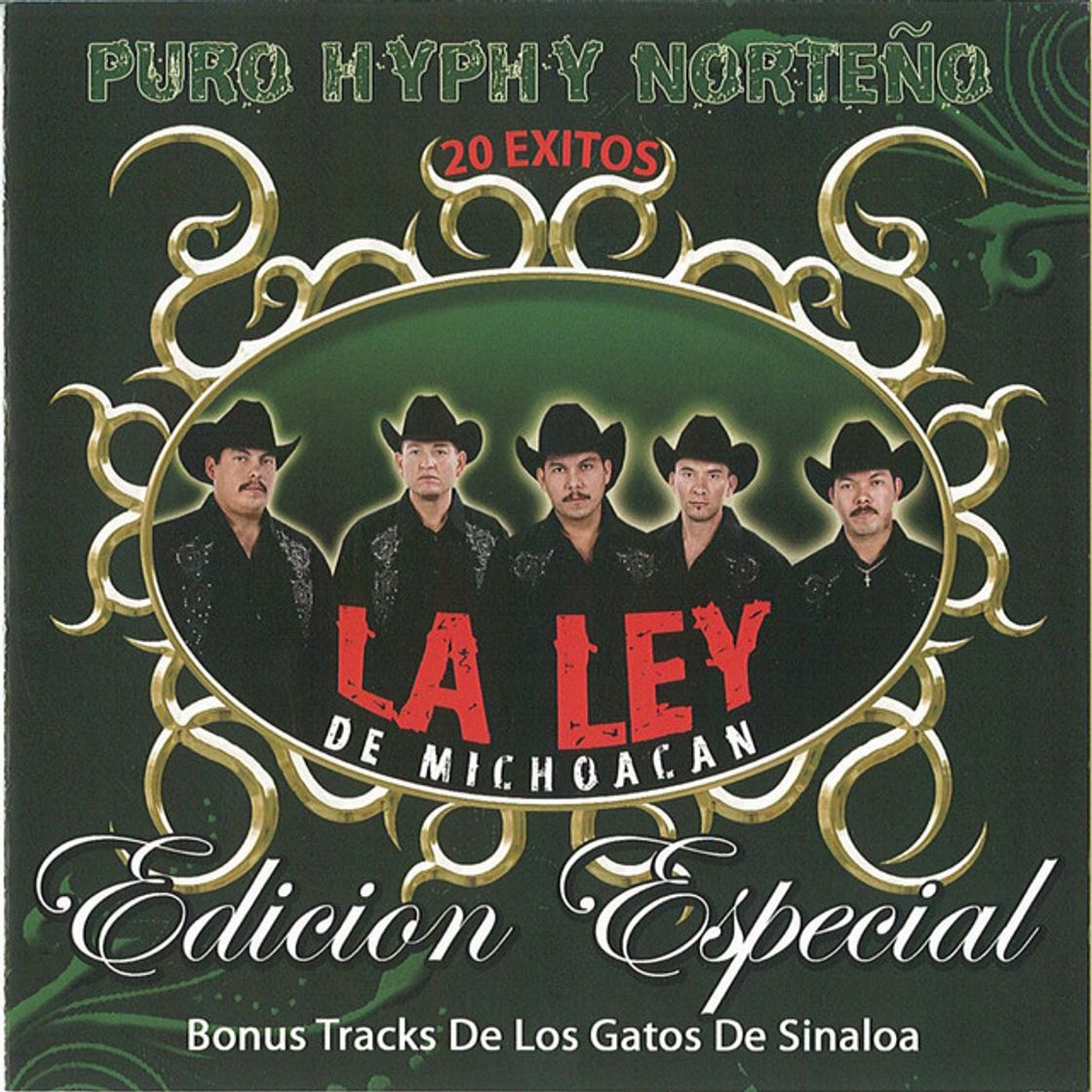 Canción Loqueando En Michoacan