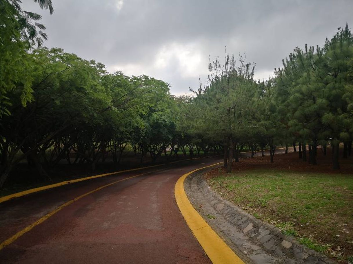 Social Parque Metropolitano – Parque Metropolitano de Guadalajara